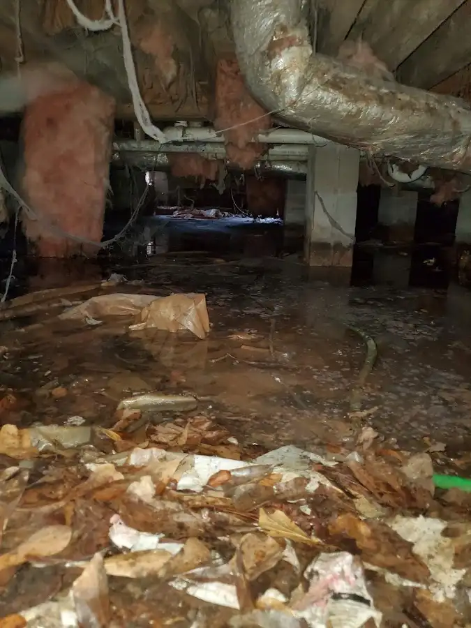 Crawl space flood assessment for Leak Detection & Repair in Bowie